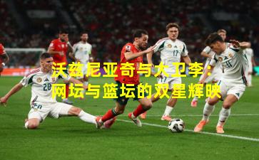 沃兹尼亚奇与大卫李:网坛与篮坛的双星辉映